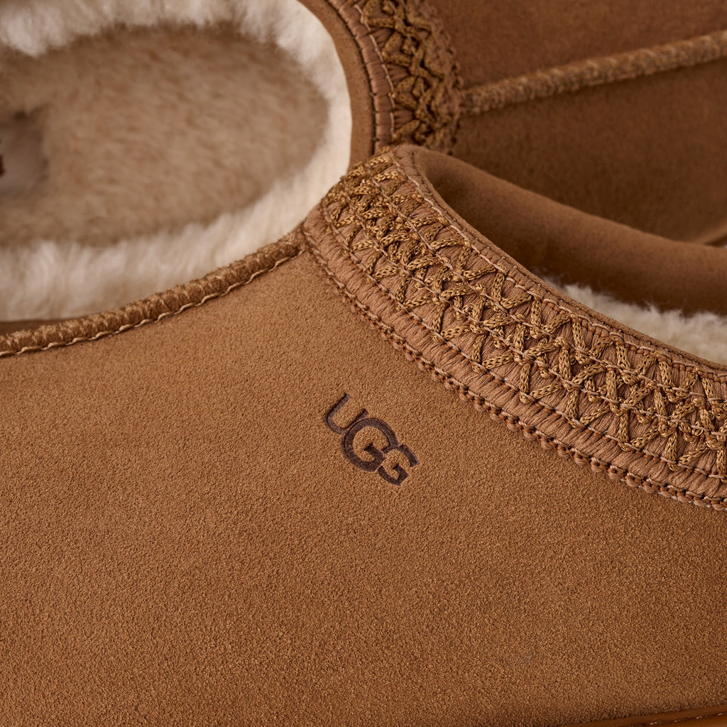 TASMAN GTX