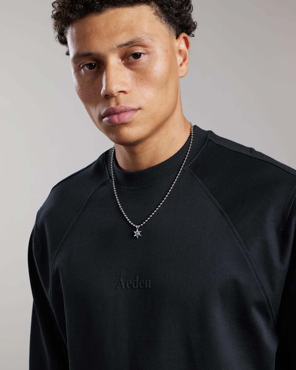 AEDEN Rynx LS tee black