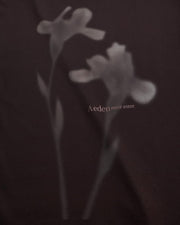AEDEN Toine LS tee ganache
