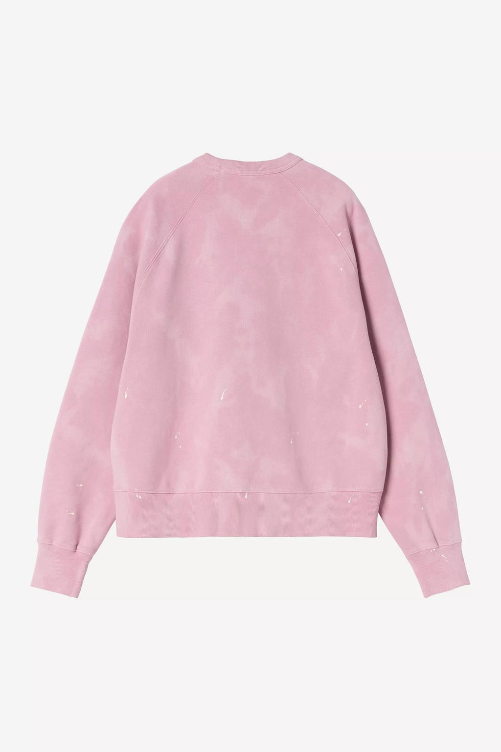 CARHARTT WIP Painter sweat hortensia splatter