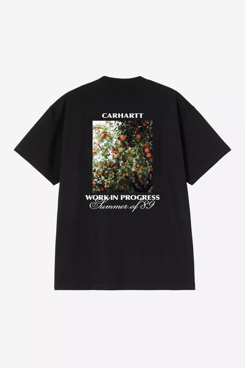 CARHARTT WIP SS Warm views t-shirt black