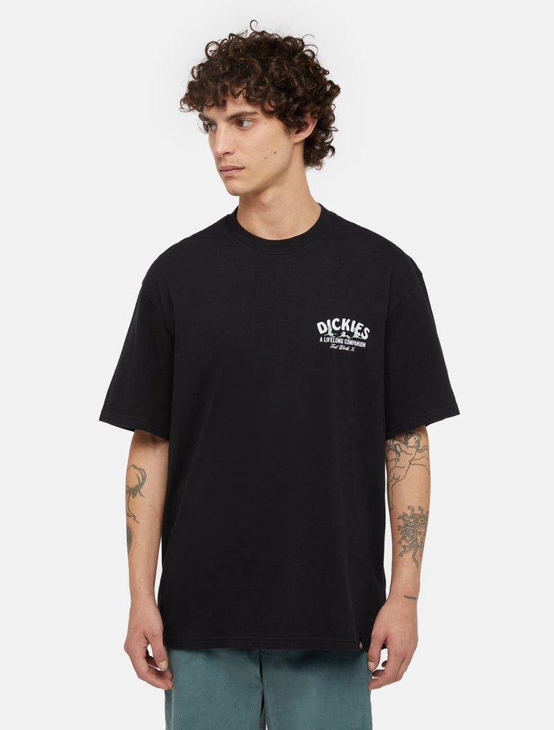 DICKIES COMPANION TEE SS