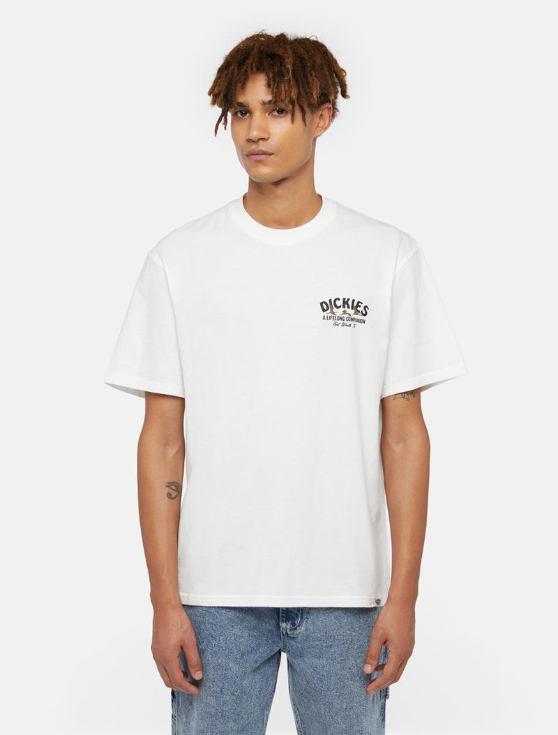 DICKIES COMPANION TEE SS