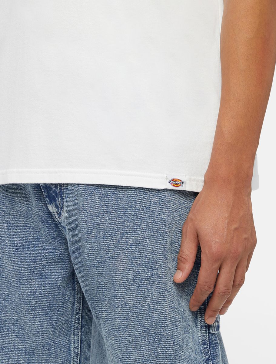 DICKIES COMPANION TEE SS