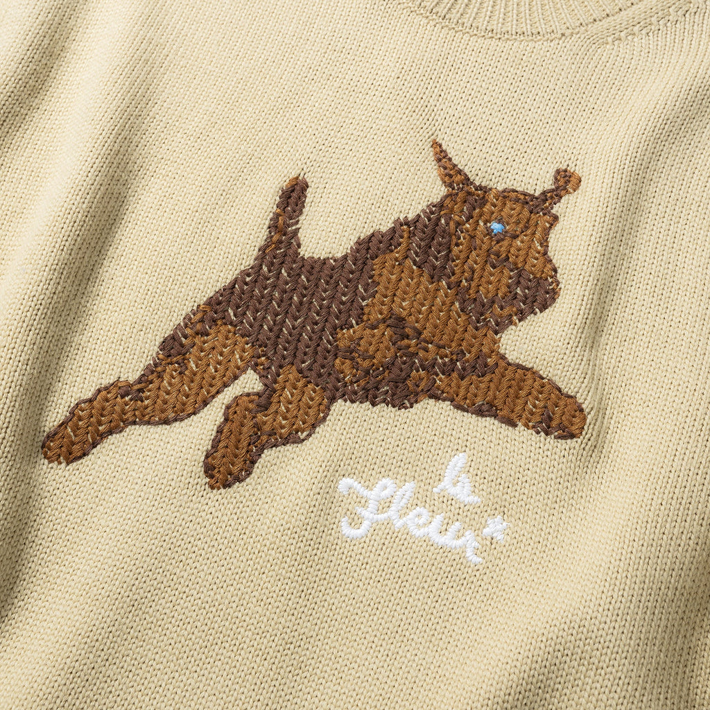 DARRYL SWEATER