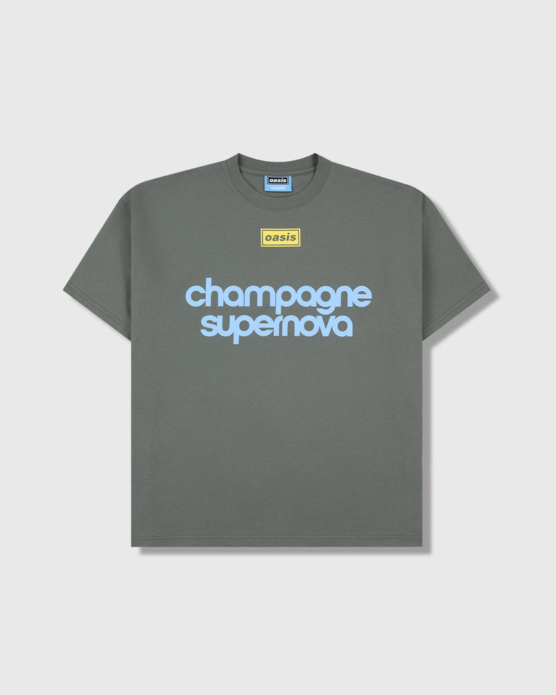 PLEASURES Nordique t-shirt faded black