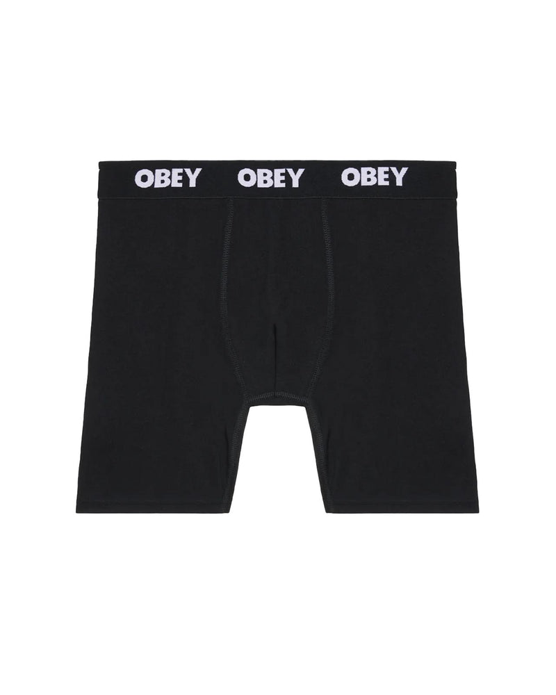 ESTABLISHED WORKS 2 PACK BOXERS
