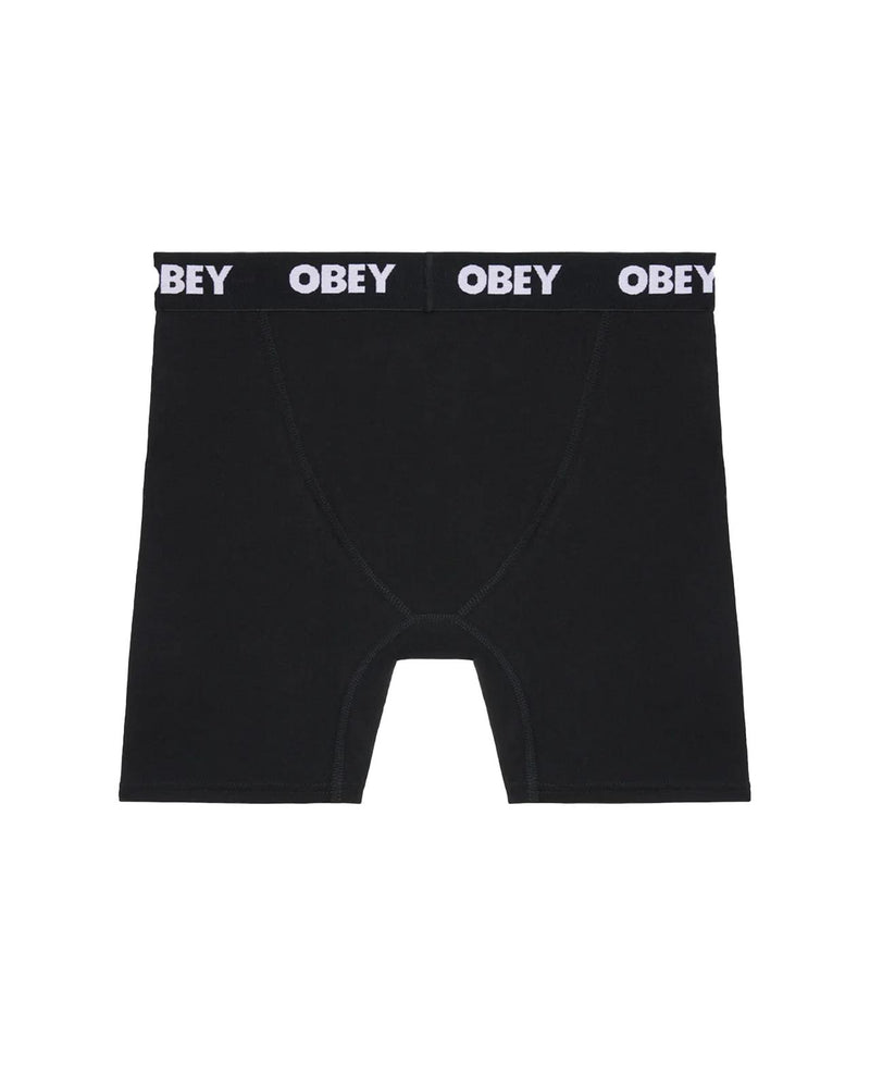 ESTABLISHED WORKS 2 PACK BOXERS