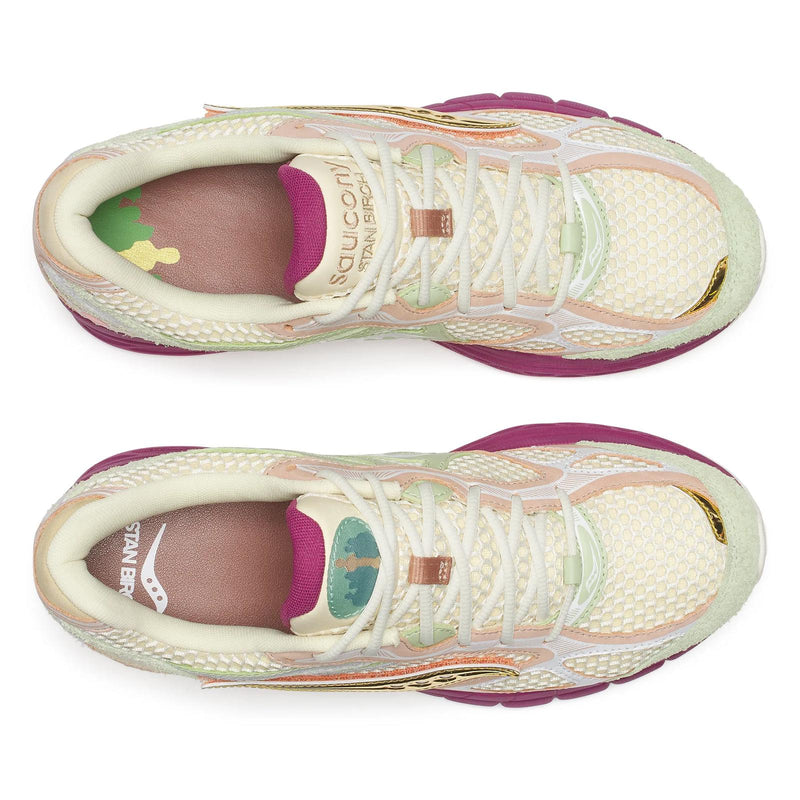 SAUCONY X STAN BIRCH Guide 7 multicolor