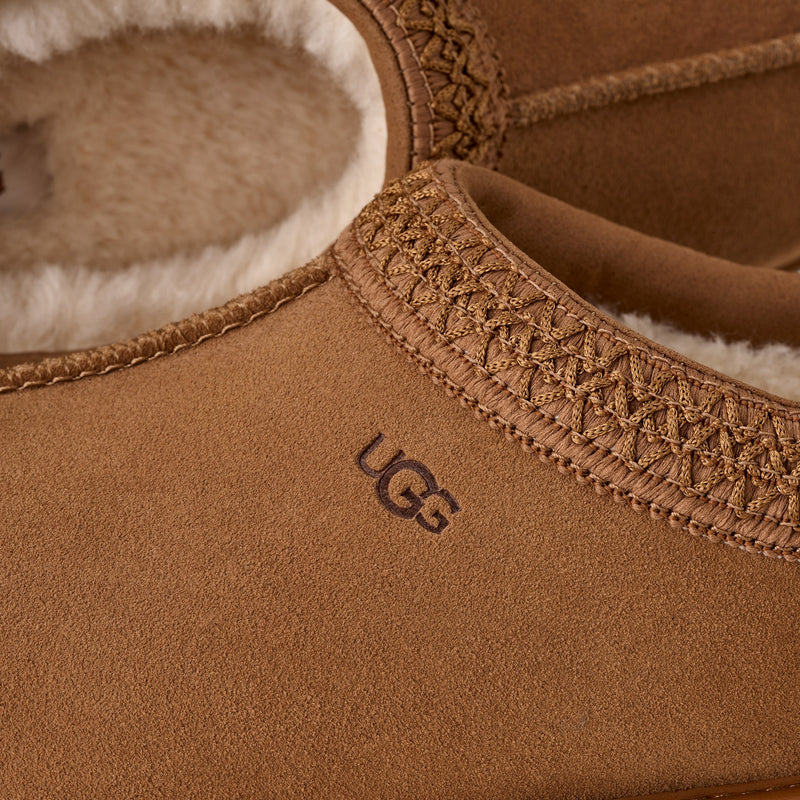 TASMAN GTX
